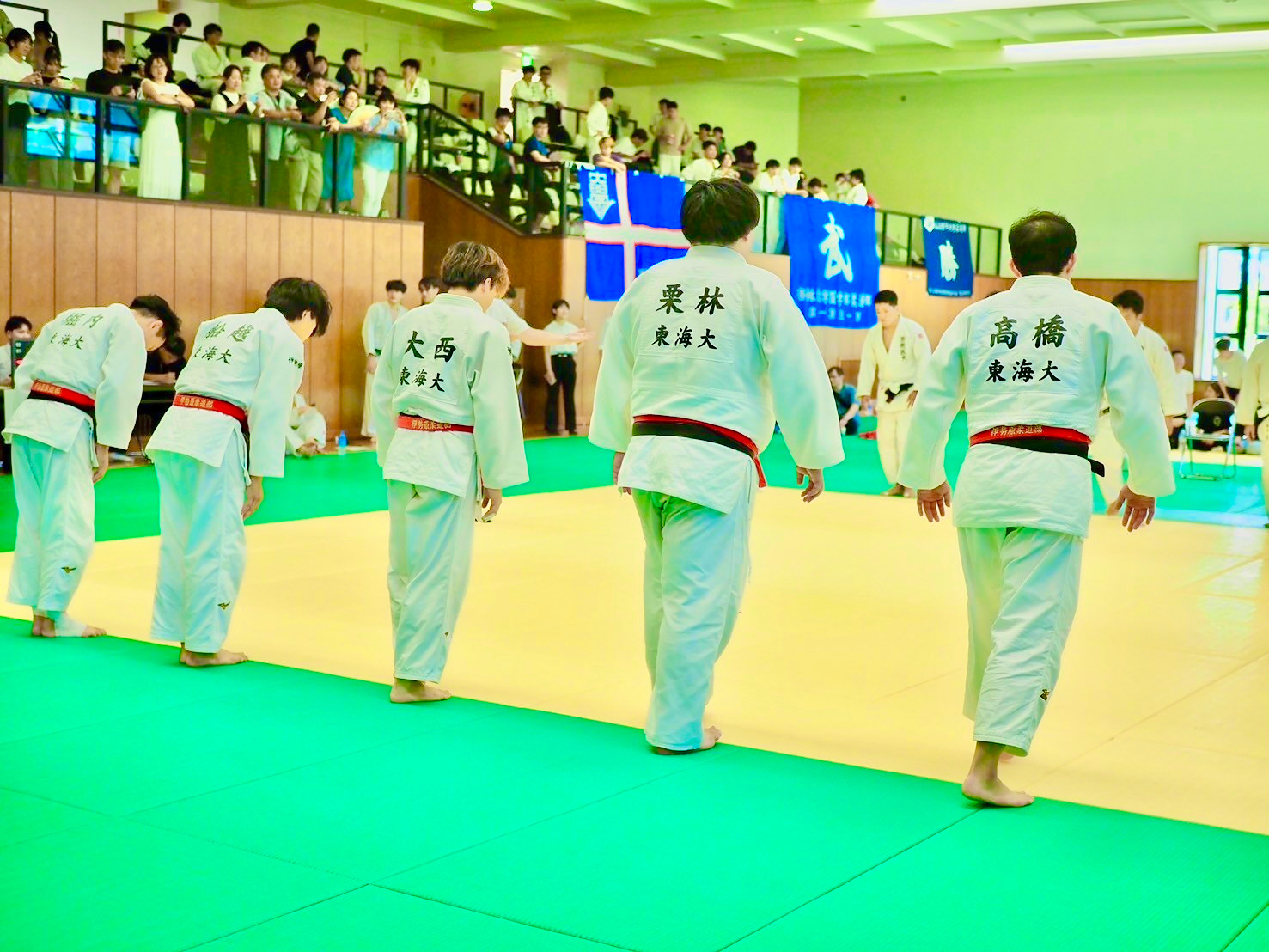 intro_judo